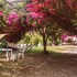 nainital