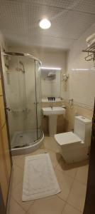 oyo dream palace hotel