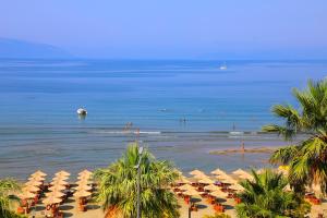 vlore