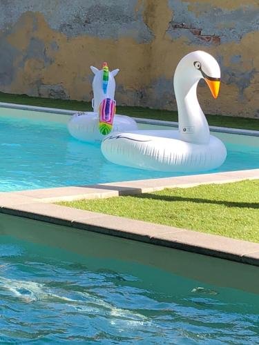 hotel lauro