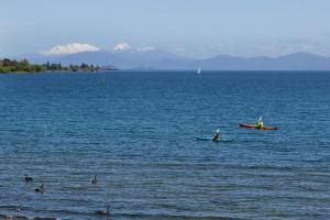 the cove taupo