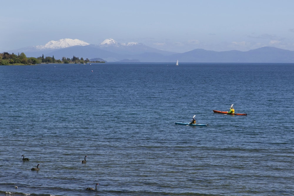 taupo