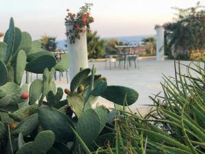 la rosa dei venti