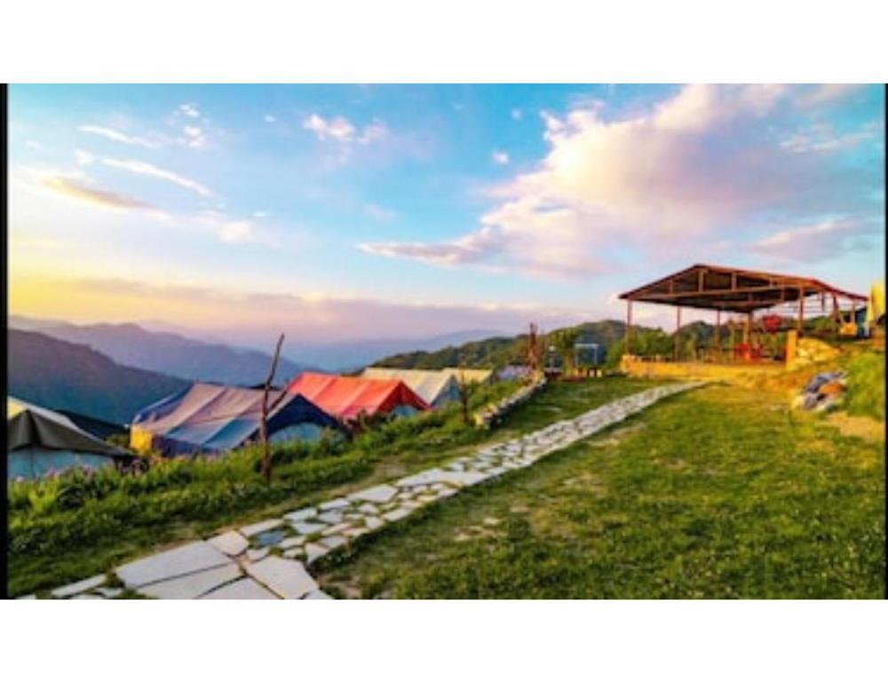 the kanatal orchids