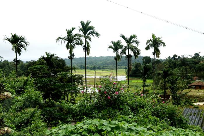chikkamagaluru