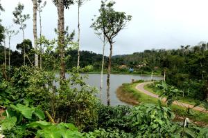 chikkamagaluru