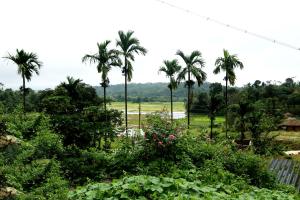 chikkamagaluru