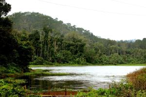 chikkamagaluru