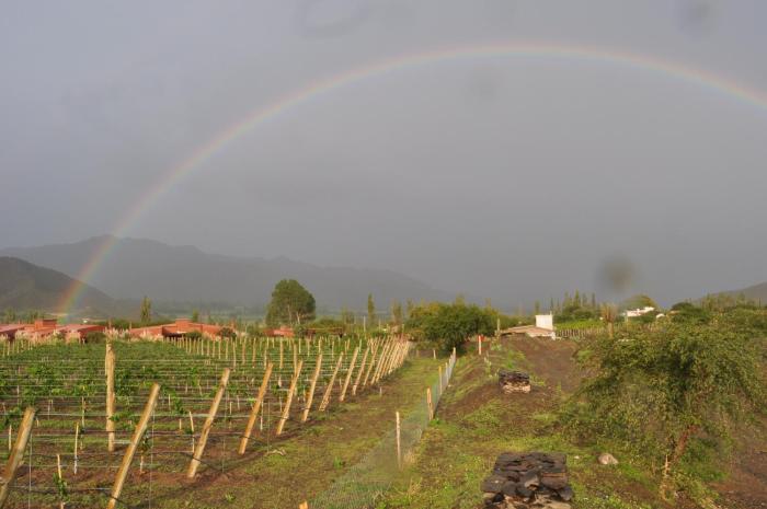 miraluna bodega boutique
