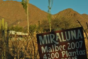 miraluna bodega boutique