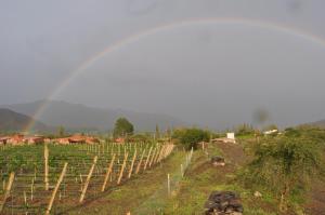 miraluna bodega boutique