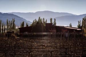miraluna bodega boutique