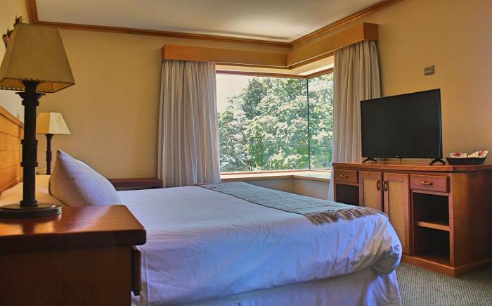 hotel puelche