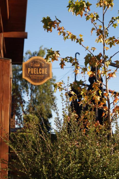 hotel puelche