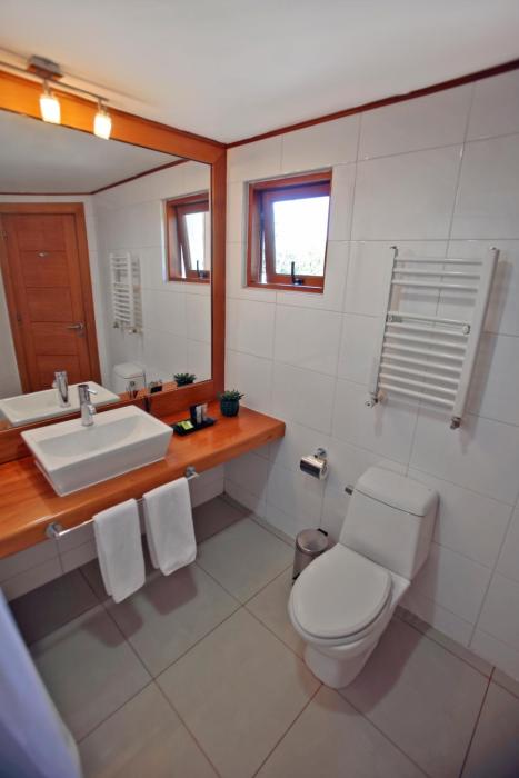 hotel puelche