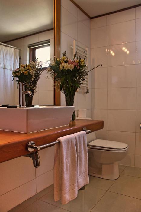 hotel puelche
