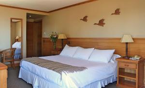 hotel puelche