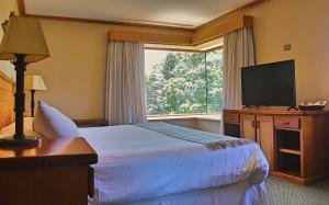 hotel puelche