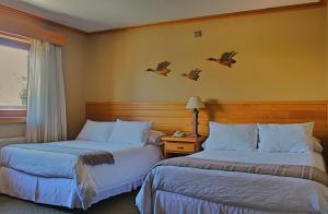 hotel puelche