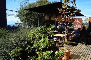 hotel puelche