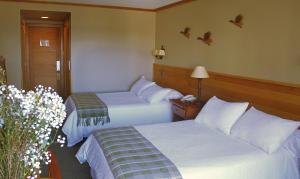 hotel puelche