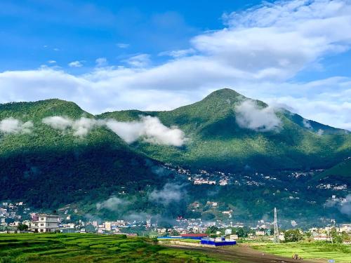 29 eleven bed and breakfast