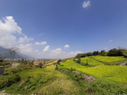 29 eleven bed and breakfast