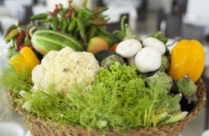 club azzurro hotel and resort