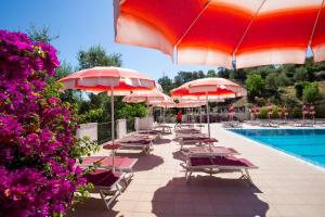 hotel delle more