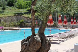 hotel delle more