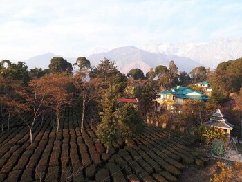palampur