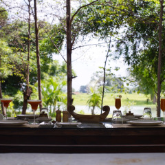 regenta resort aranyaani