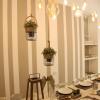 dimi house