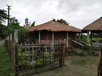 majuli