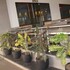 hotel satkar chhatral