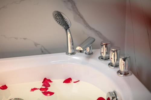 shining central hotel and spa