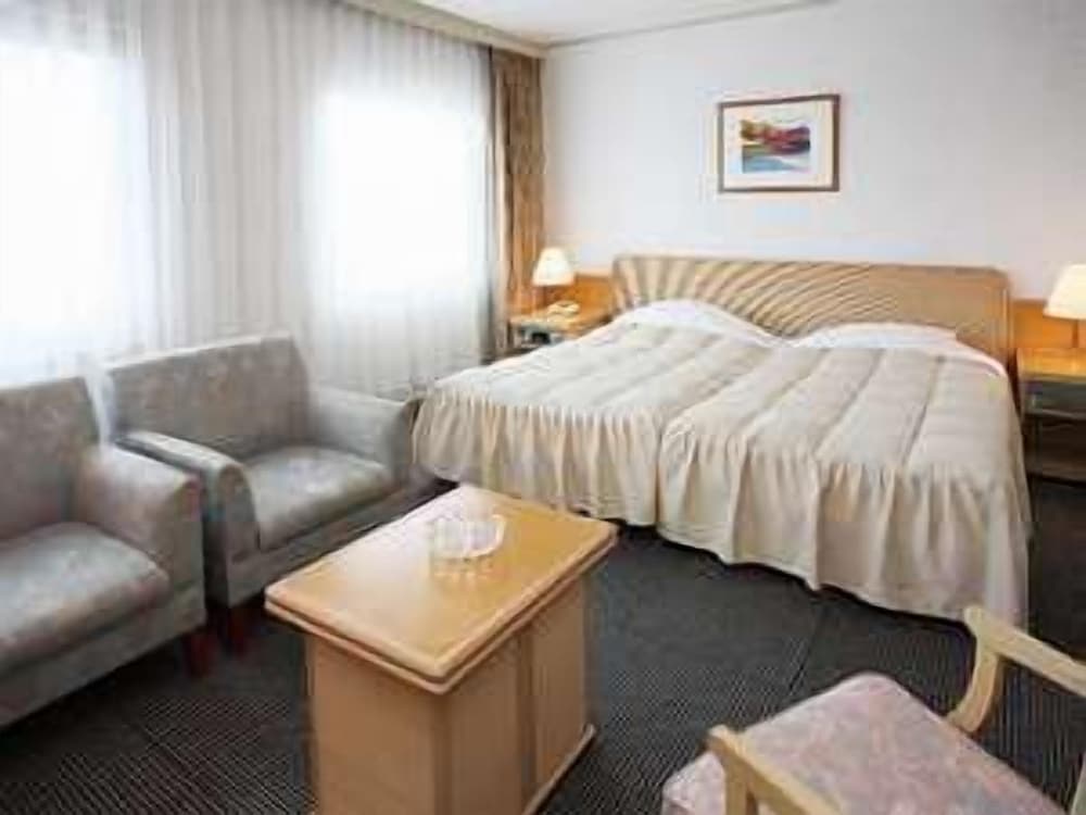 hotel excel okayama