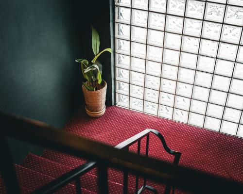 froken skjolds hotel