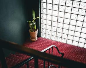 froken skjolds hotel