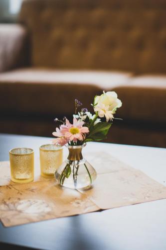 froken skjolds hotel