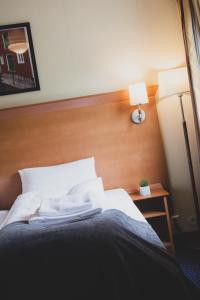 froken skjolds hotel