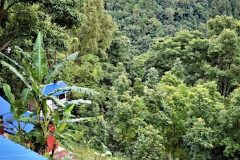 jungle crown organic homestay