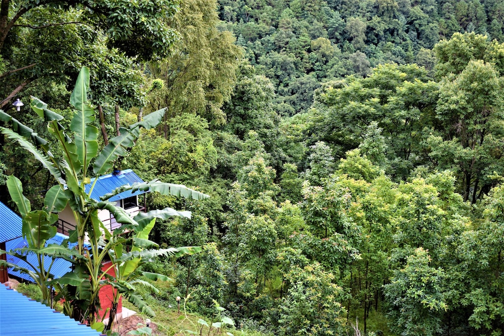 jungle crown organic homestay