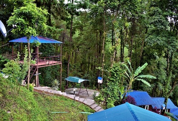 jungle crown organic homestay