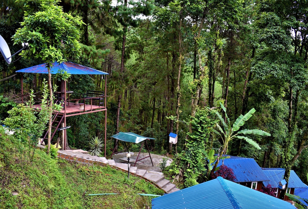 jungle crown organic homestay