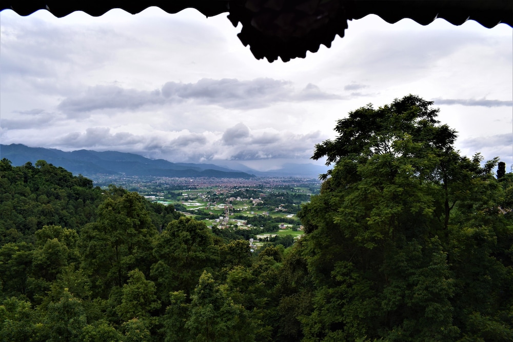 jungle crown organic homestay