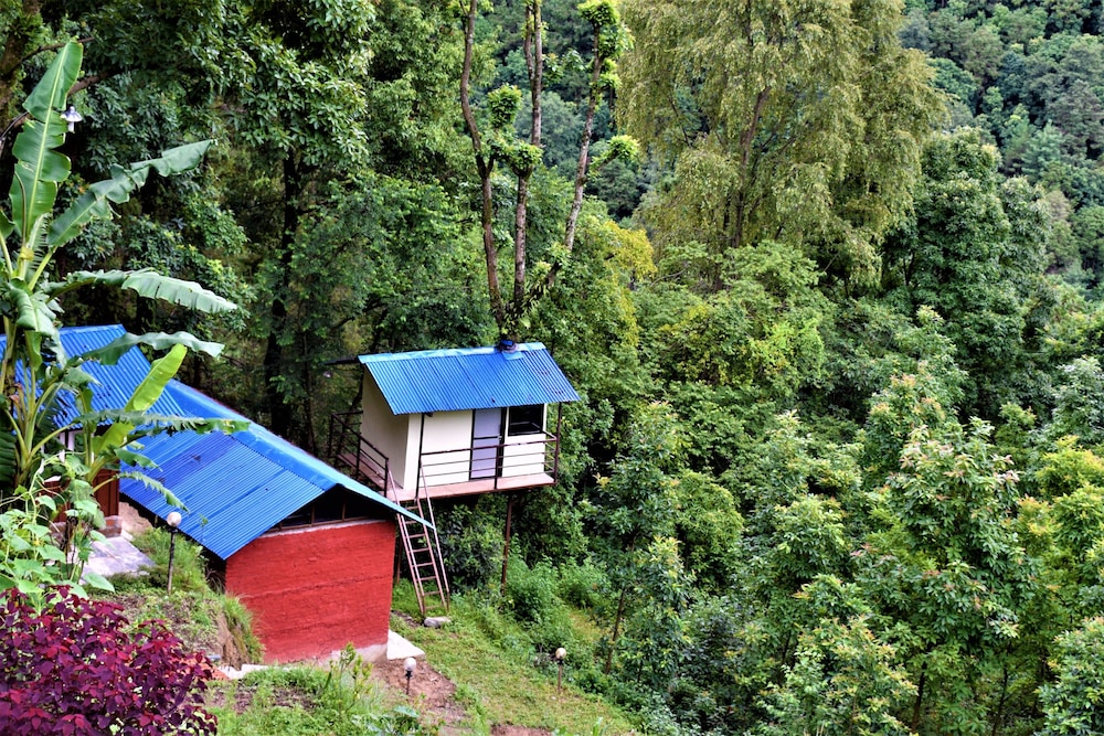 jungle crown organic homestay