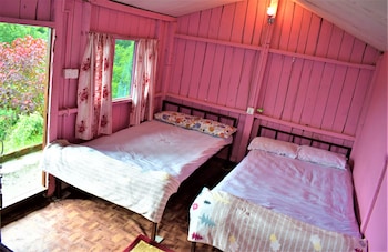 jungle crown organic homestay