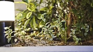 welina hotel premier nakanoshima east