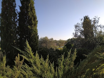 janas country resort